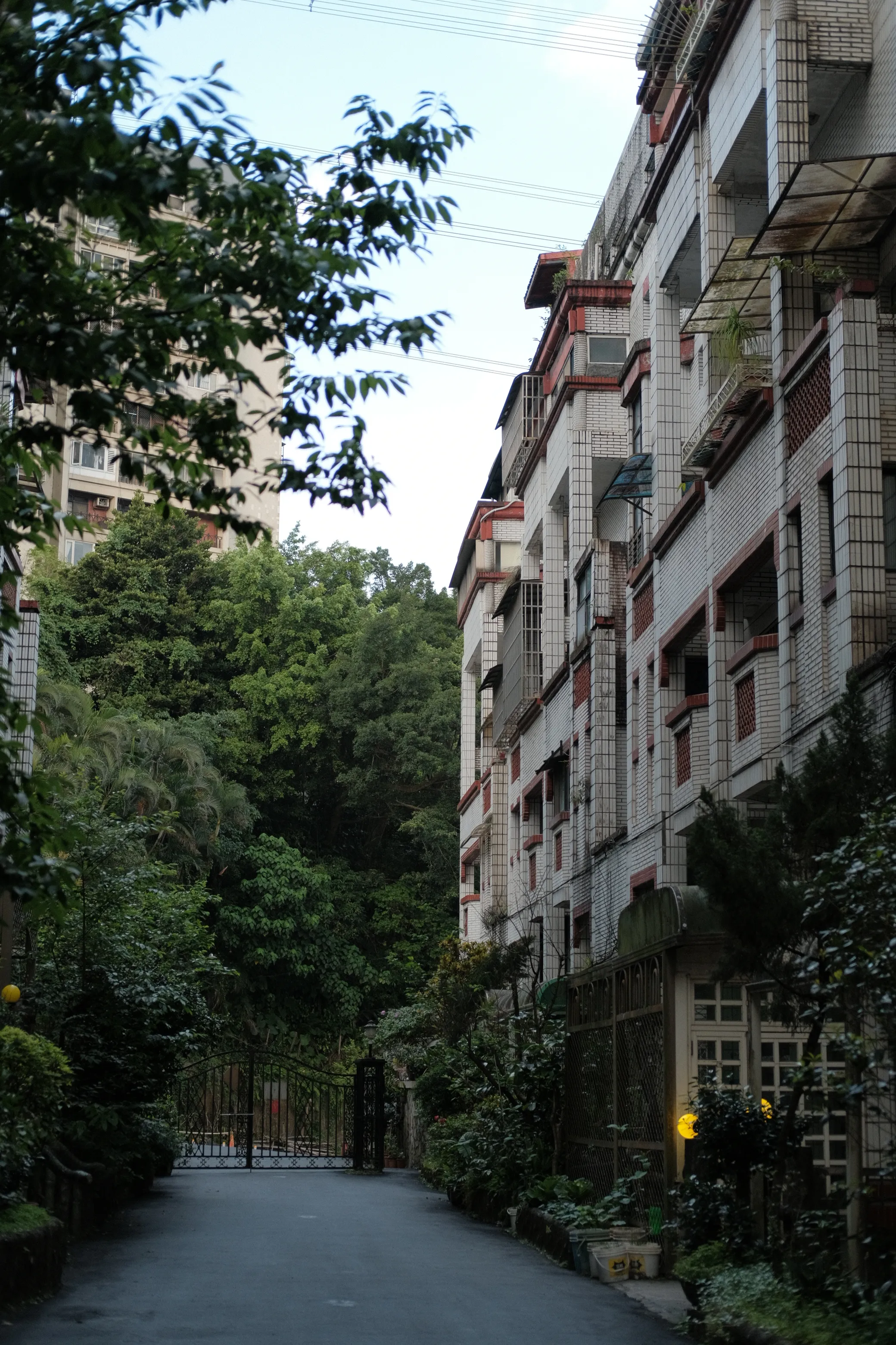 Photo 12.webp