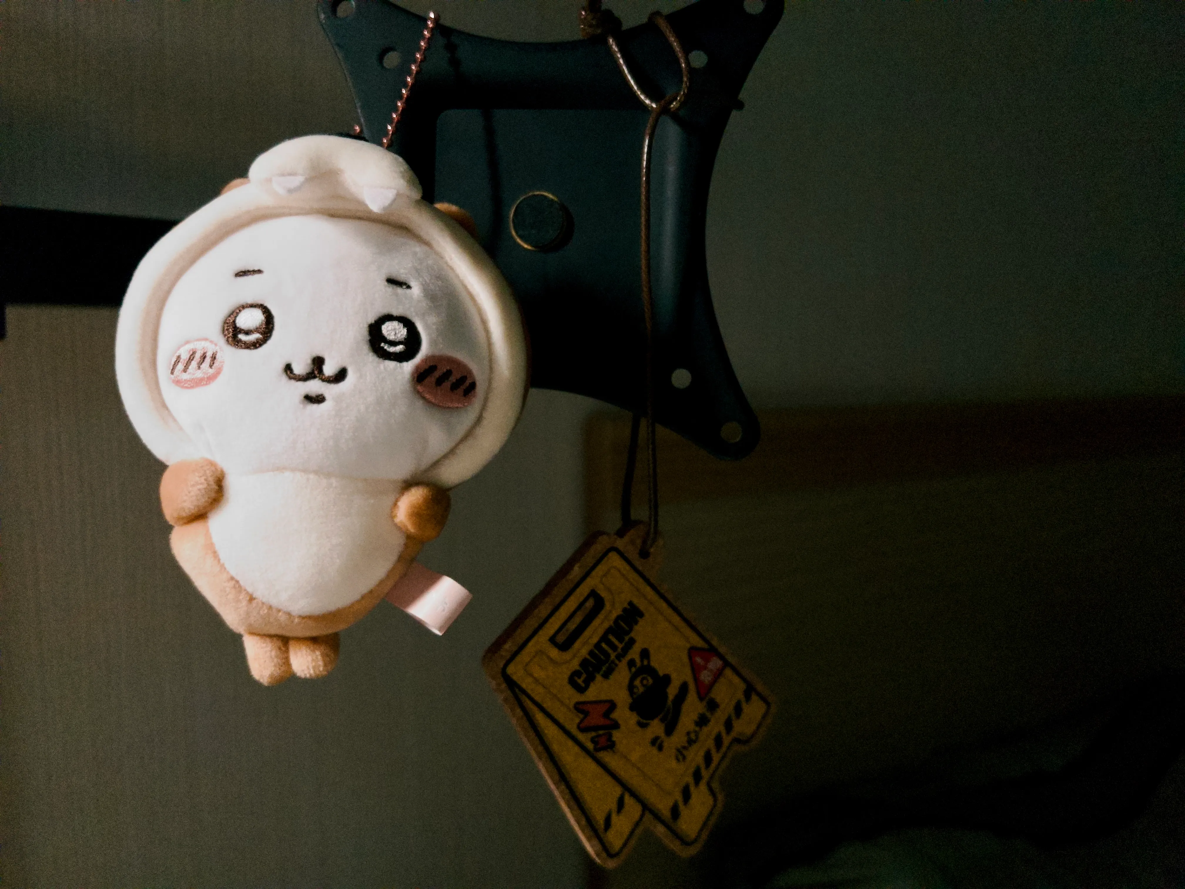 Photo 22.webp