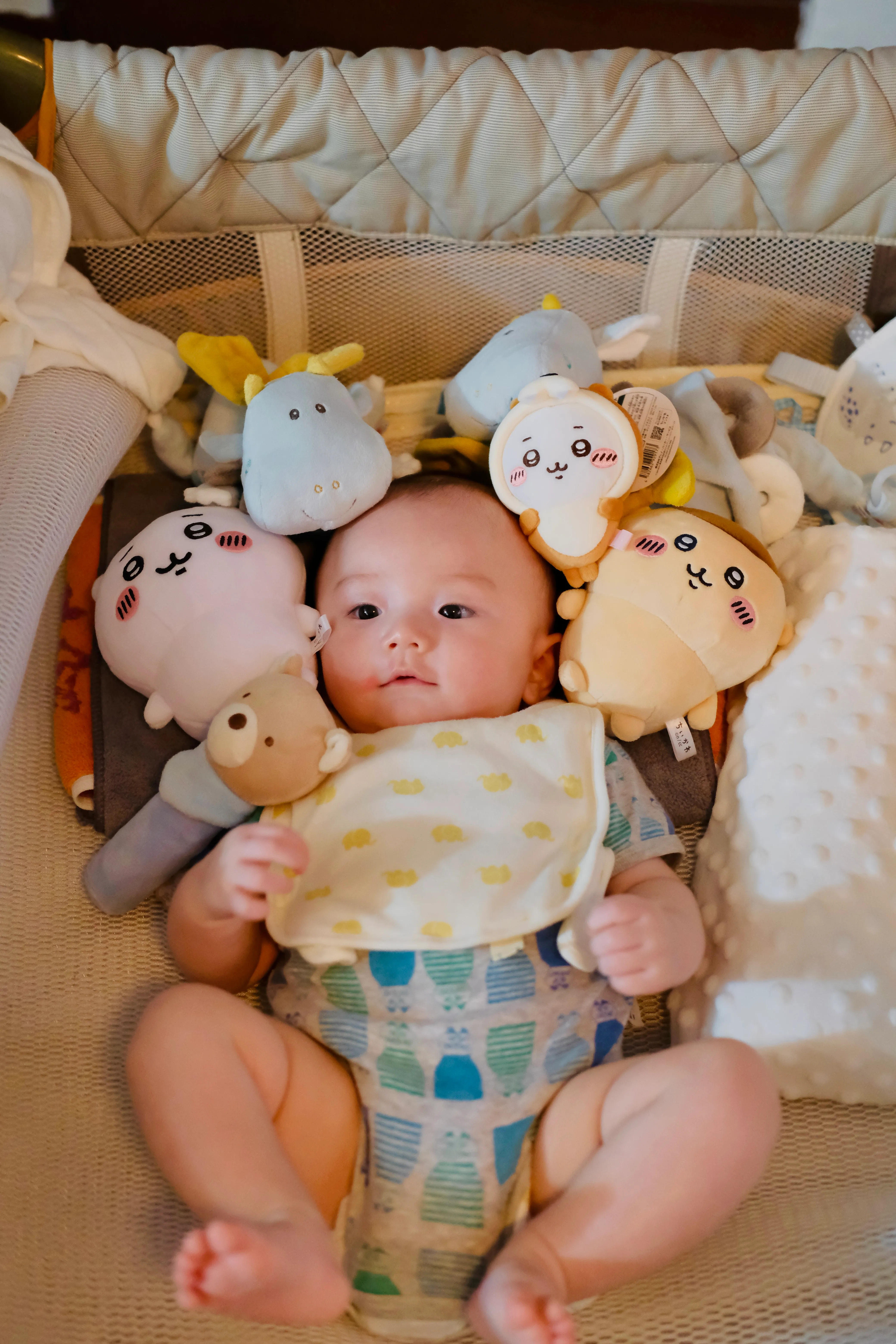 Photo 9.webp